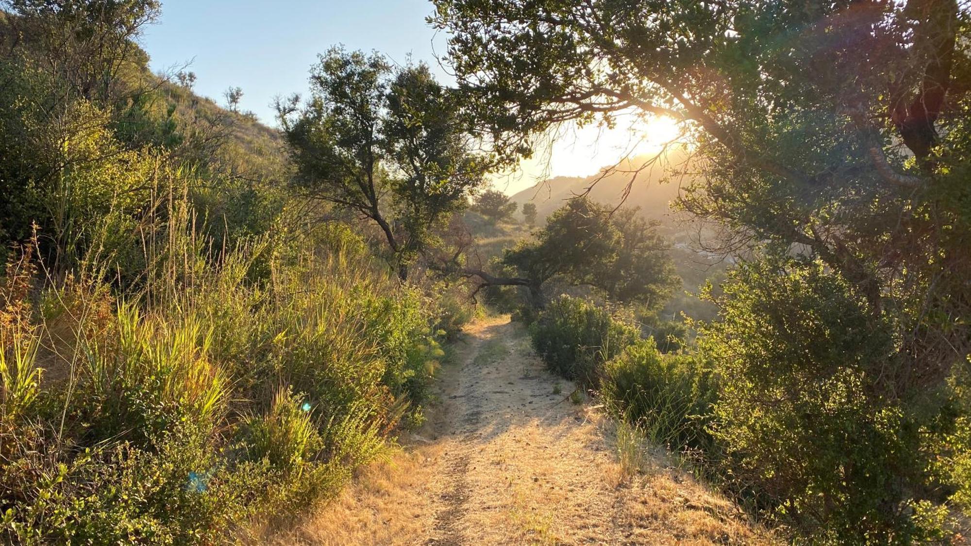 Malibu Ranch Guest House Hideway Kültér fotó