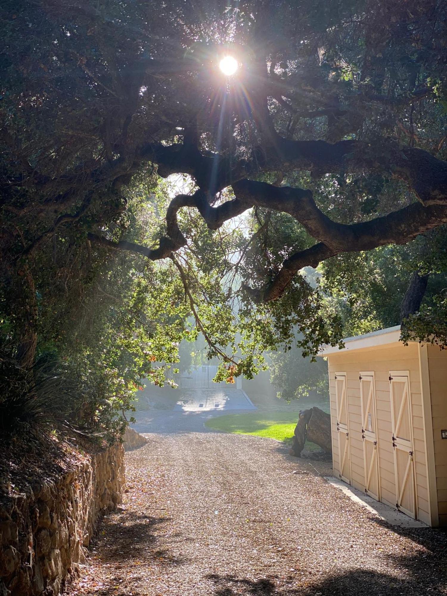 Malibu Ranch Guest House Hideway Kültér fotó